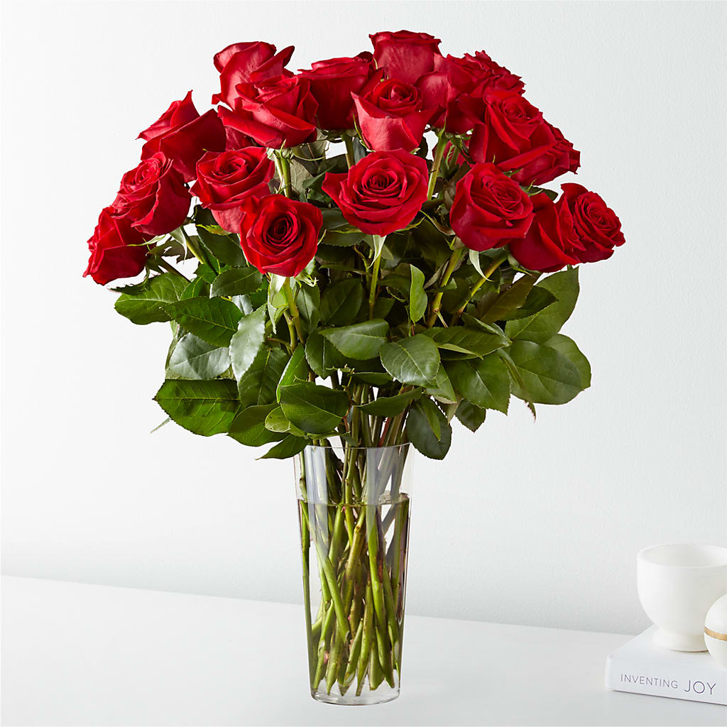 Long Stem Red Rose Bouquet – QUASTHOFF'S FLOWERS, River Grove IL