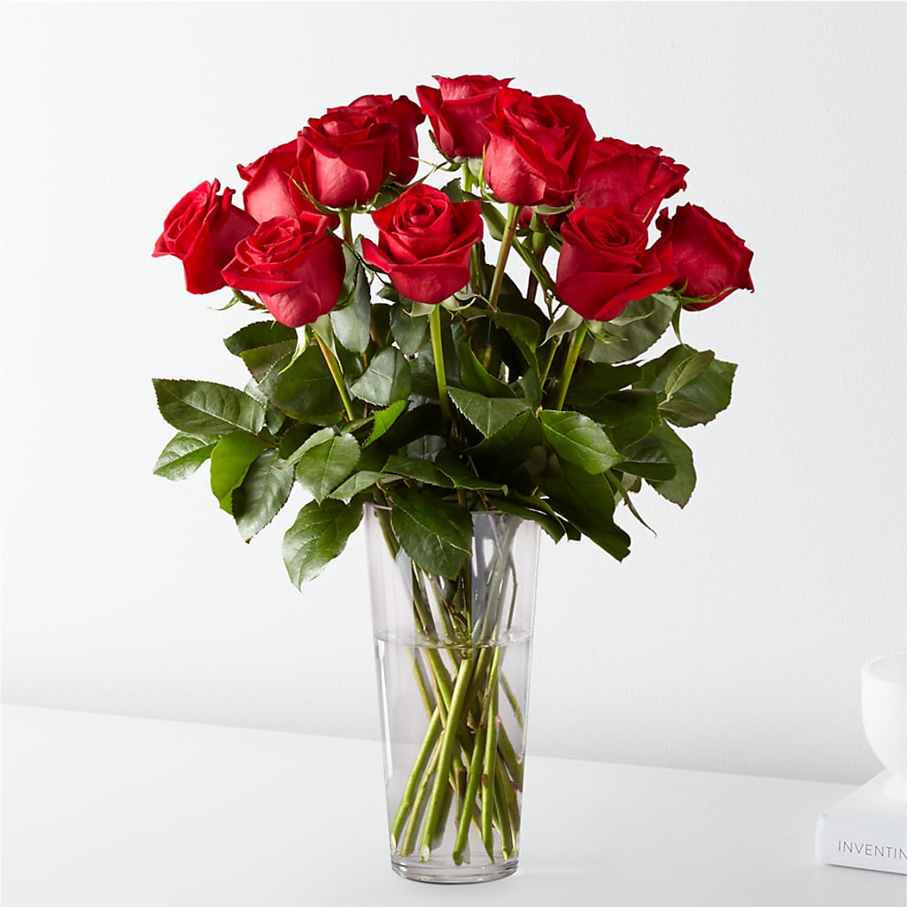 Long Stem Red Rose Bouquet – QUASTHOFF'S FLOWERS, River Grove IL