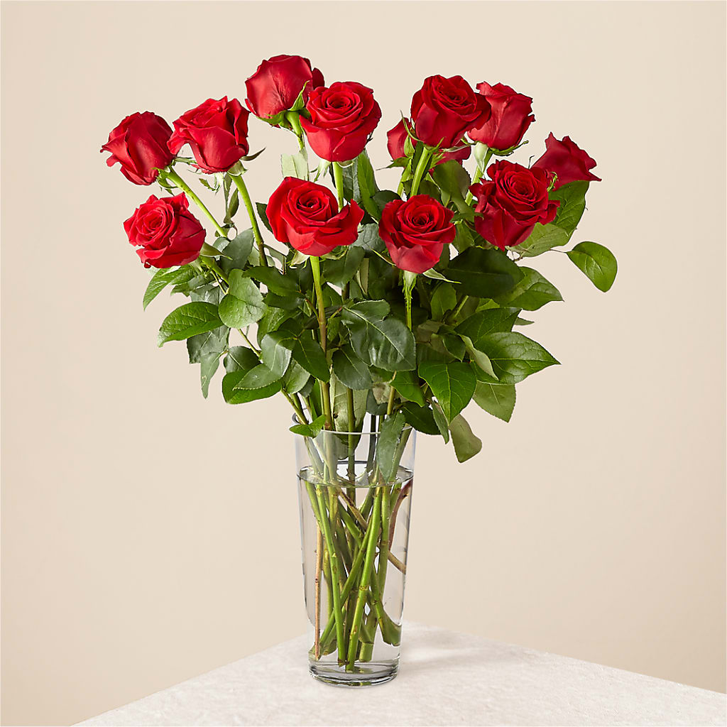 Long Stem Red Rose Bouquet – QUASTHOFF'S FLOWERS, River Grove IL