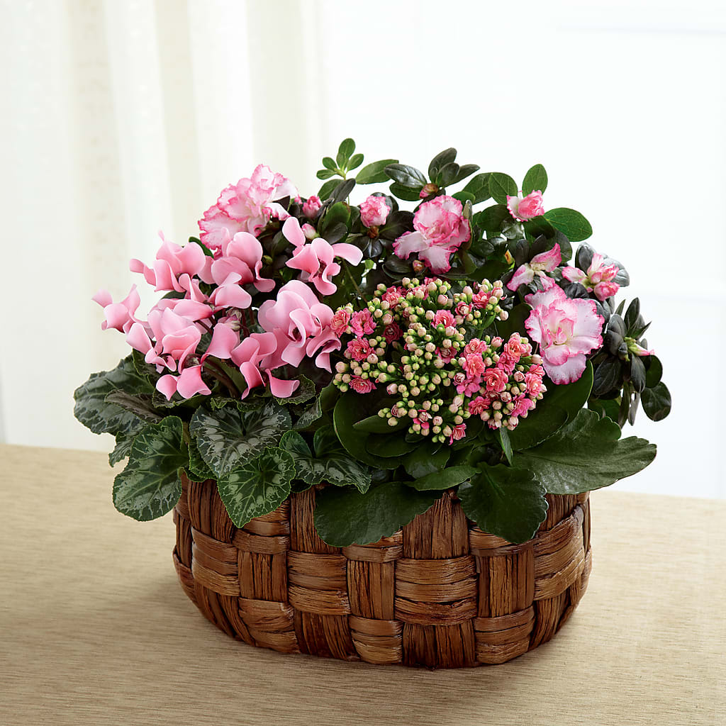 Pink Assortment – QUASTHOFF'S FLOWERS, River Grove IL