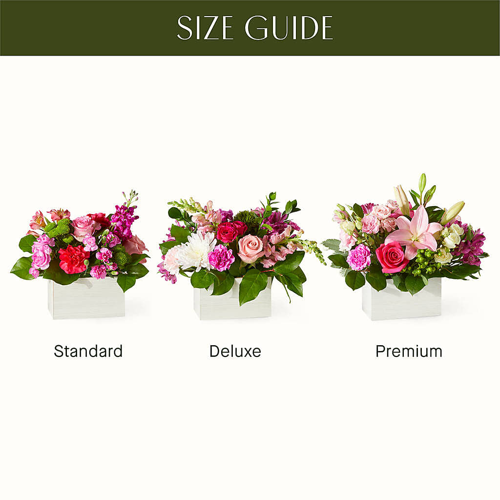 Sweetberry Box – A Florist Original – QUASTHOFF'S FLOWERS, River Grove IL