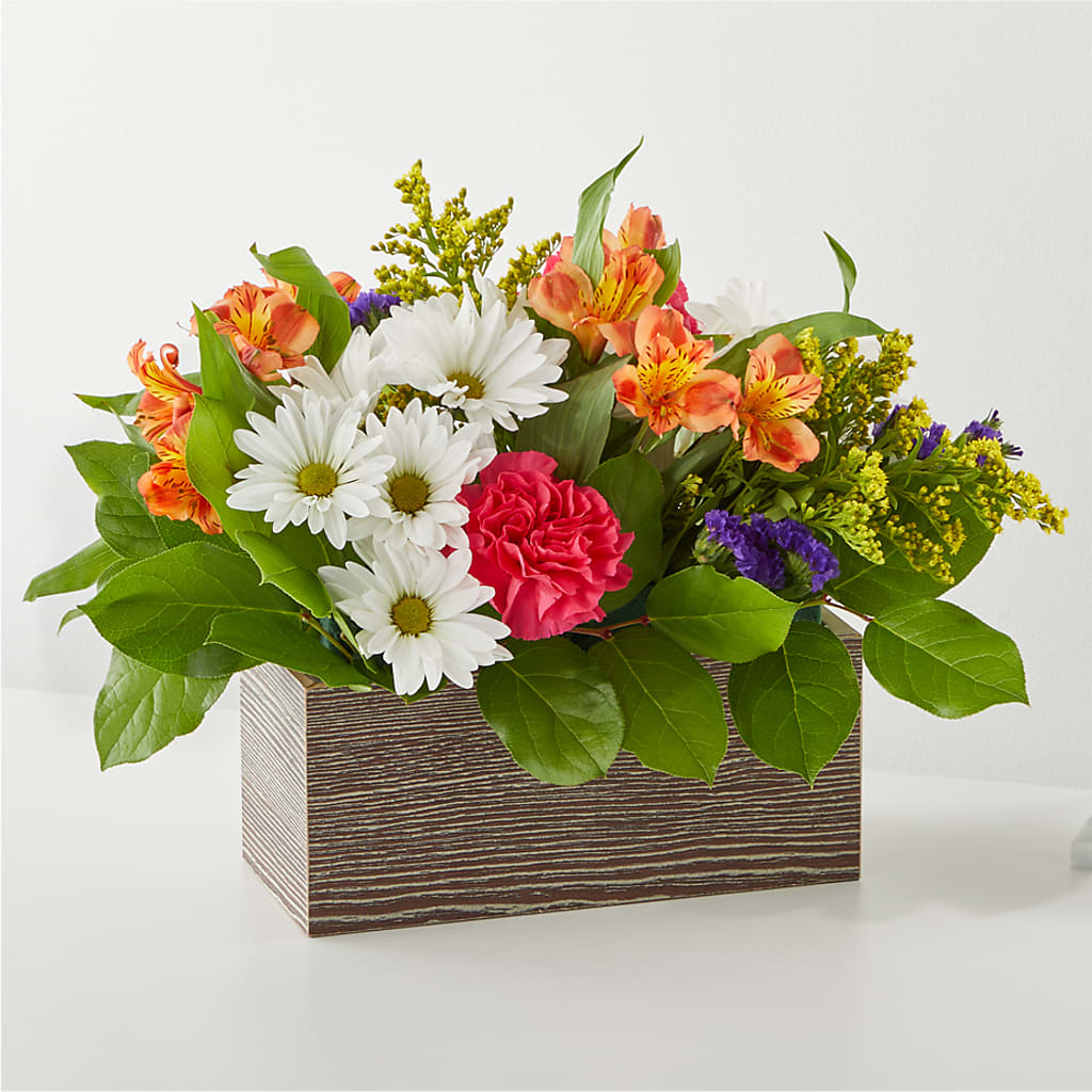 Oopsie Daisy Box Bouquet – QUASTHOFF'S FLOWERS, River Grove IL