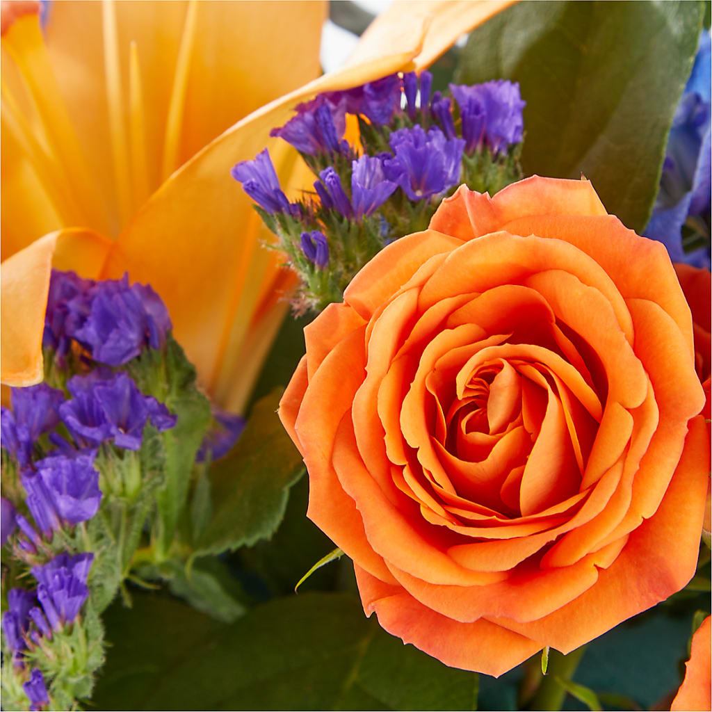 Radiant Citrus Box Bouquet – QUASTHOFF'S FLOWERS, River Grove IL