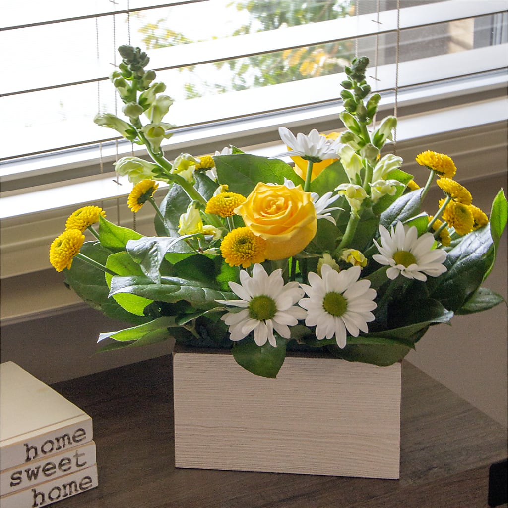 Sun Salutation Box Bouquet – QUASTHOFF'S FLOWERS, River Grove IL