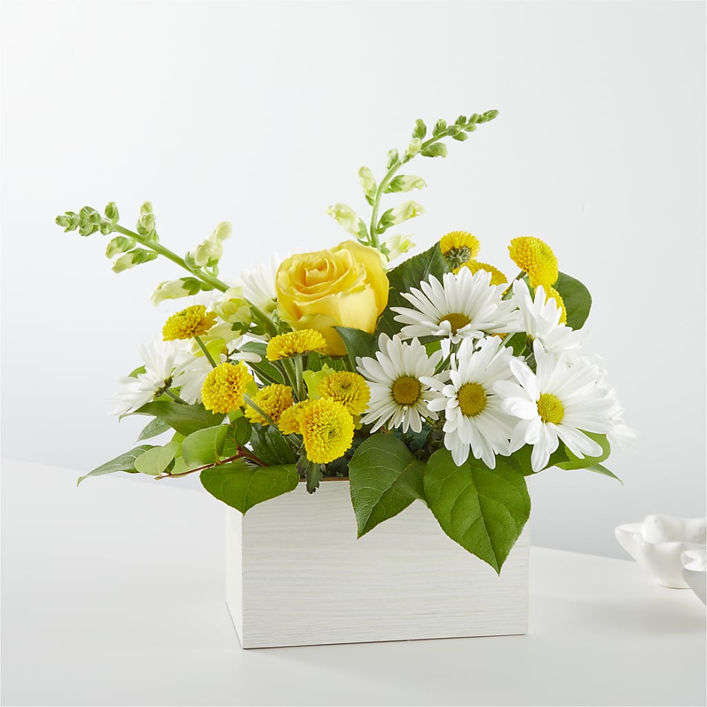 Sun Salutation Box Bouquet – QUASTHOFF'S FLOWERS, River Grove IL
