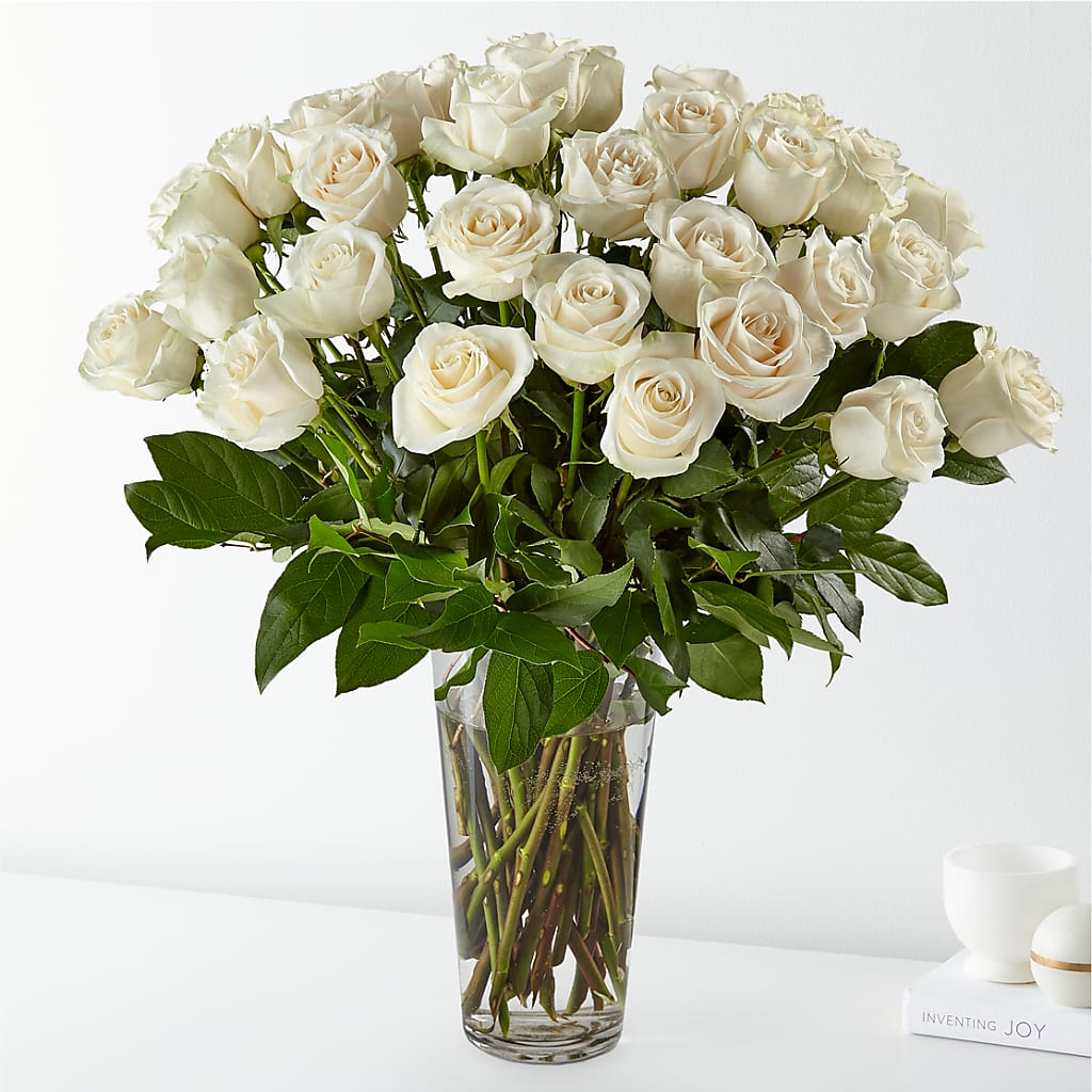 Long Stem White Rose Bouquet – QUASTHOFF'S FLOWERS, River Grove IL