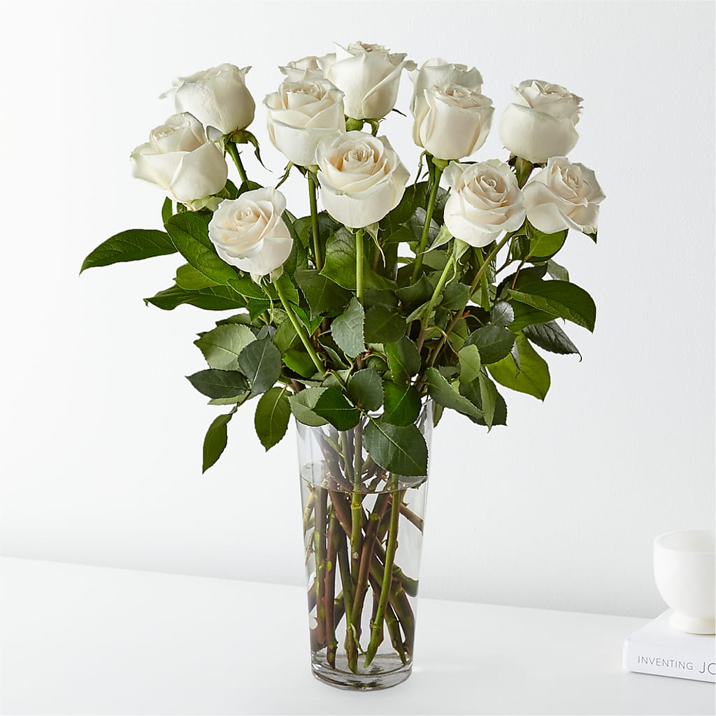 Long Stem White Rose Bouquet – QUASTHOFF'S FLOWERS, River Grove IL