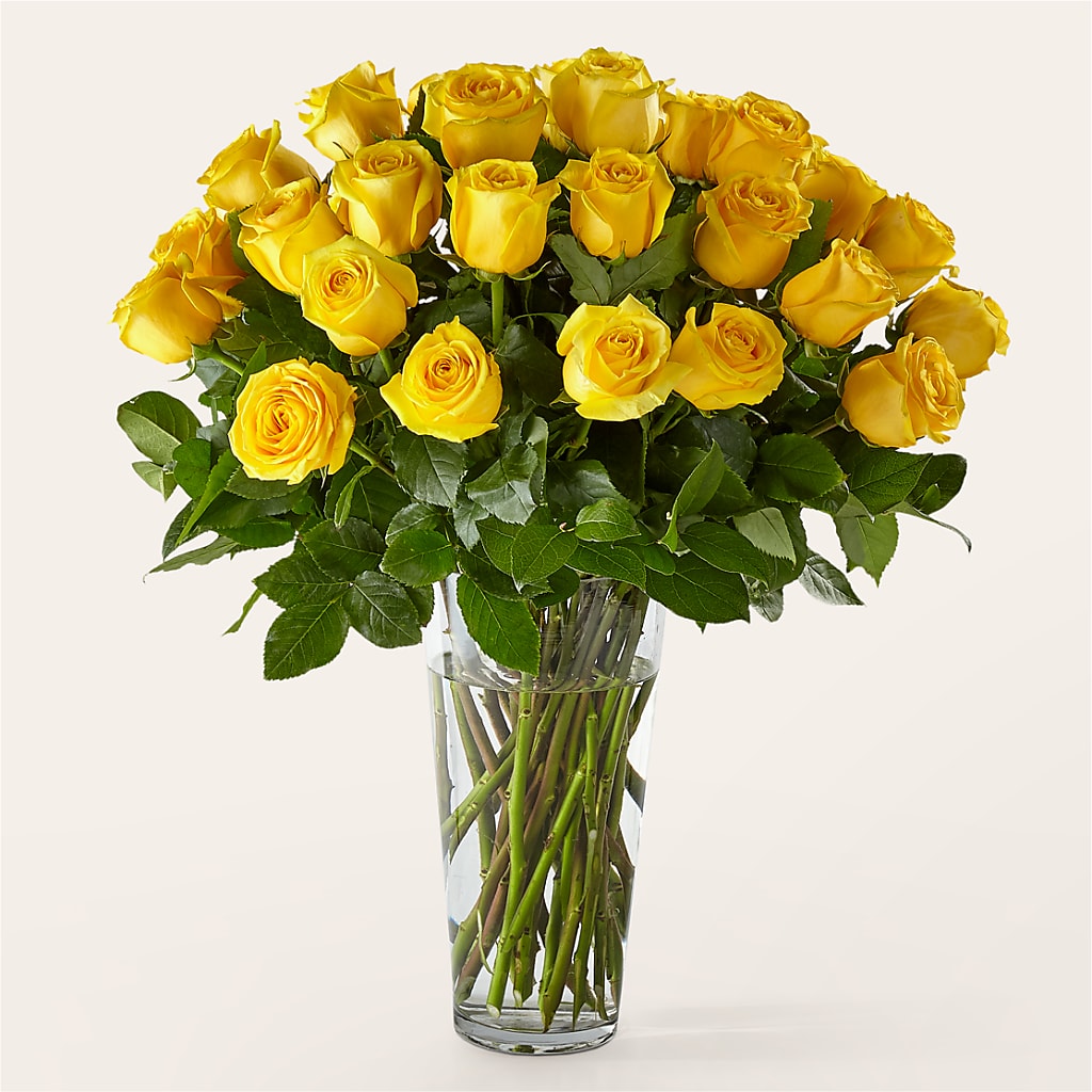 Long Stem Yellow Rose Bouquet – QUASTHOFF'S FLOWERS, River Grove IL