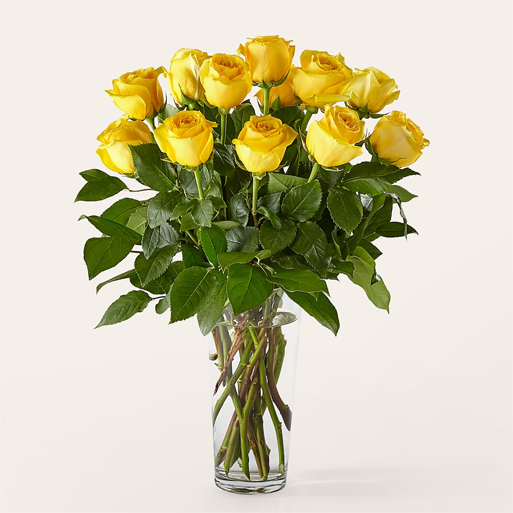 Long Stem Yellow Rose Bouquet – QUASTHOFF'S FLOWERS, River Grove IL
