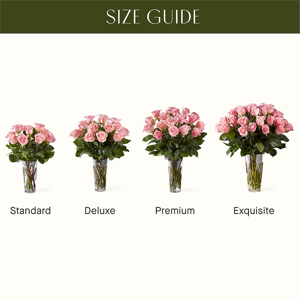 Long Stem Pink Rose Bouquet – QUASTHOFF'S FLOWERS, River Grove IL