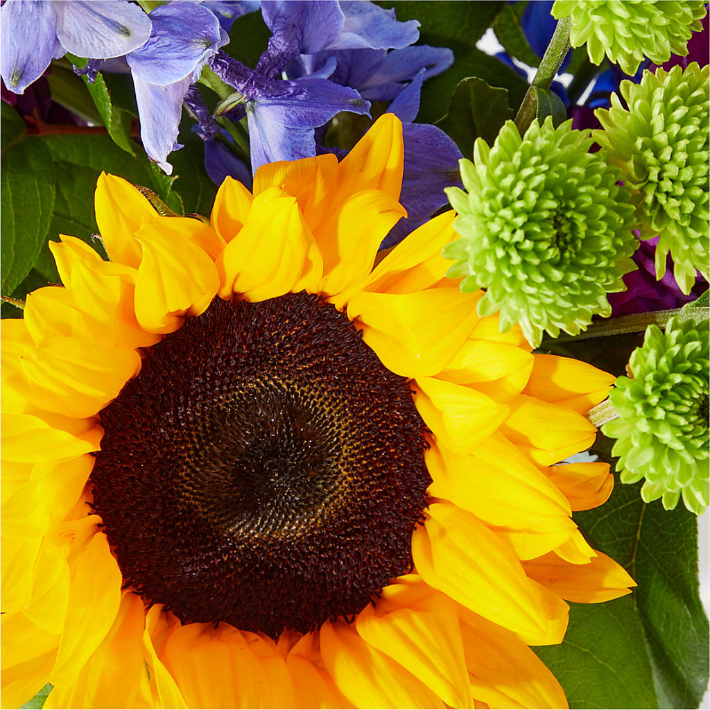 Catching Rays Bouquet – QUASTHOFF'S FLOWERS, River Grove IL