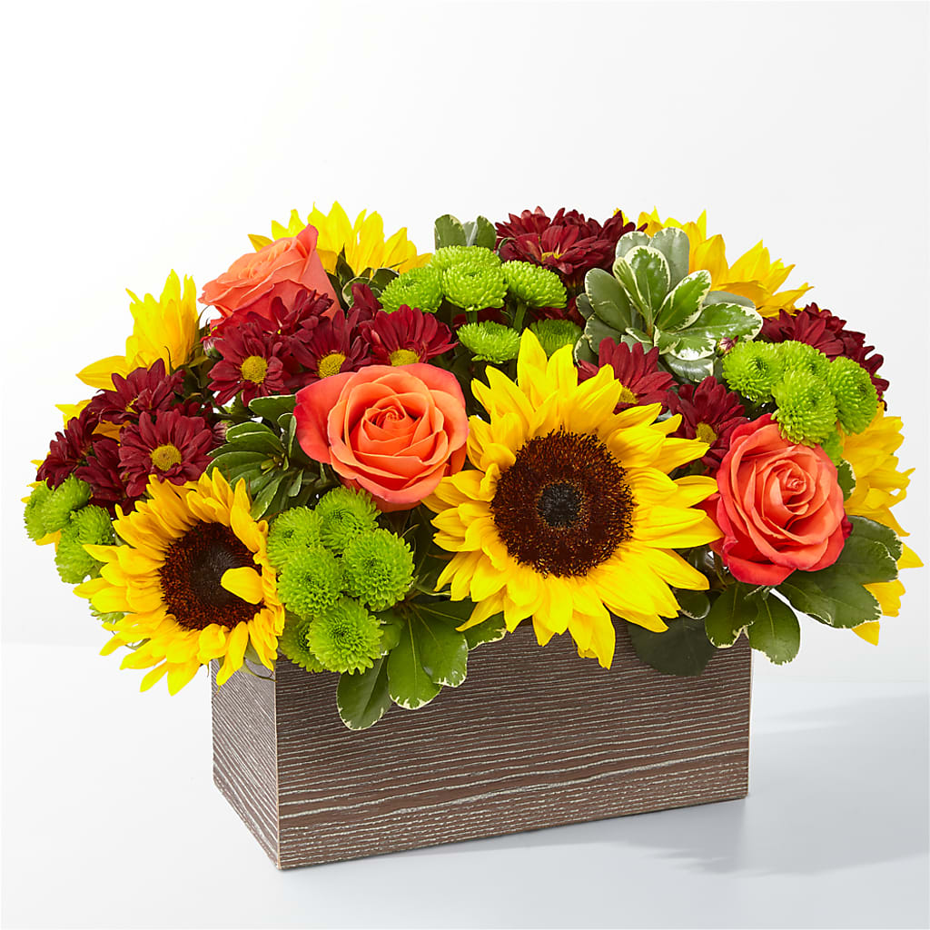 Happy Harvest Garden – QUASTHOFF'S FLOWERS, River Grove IL