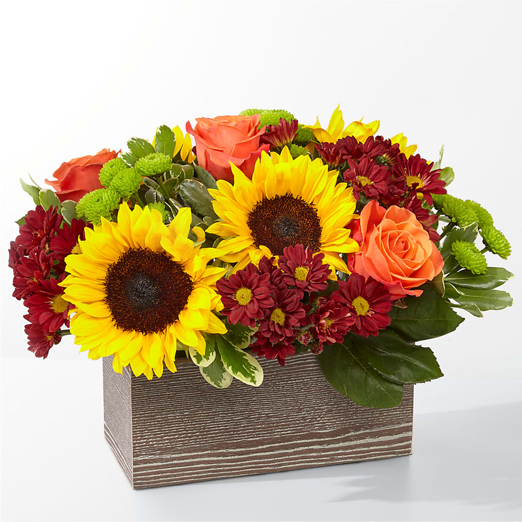 Happy Harvest Garden – QUASTHOFF'S FLOWERS, River Grove IL