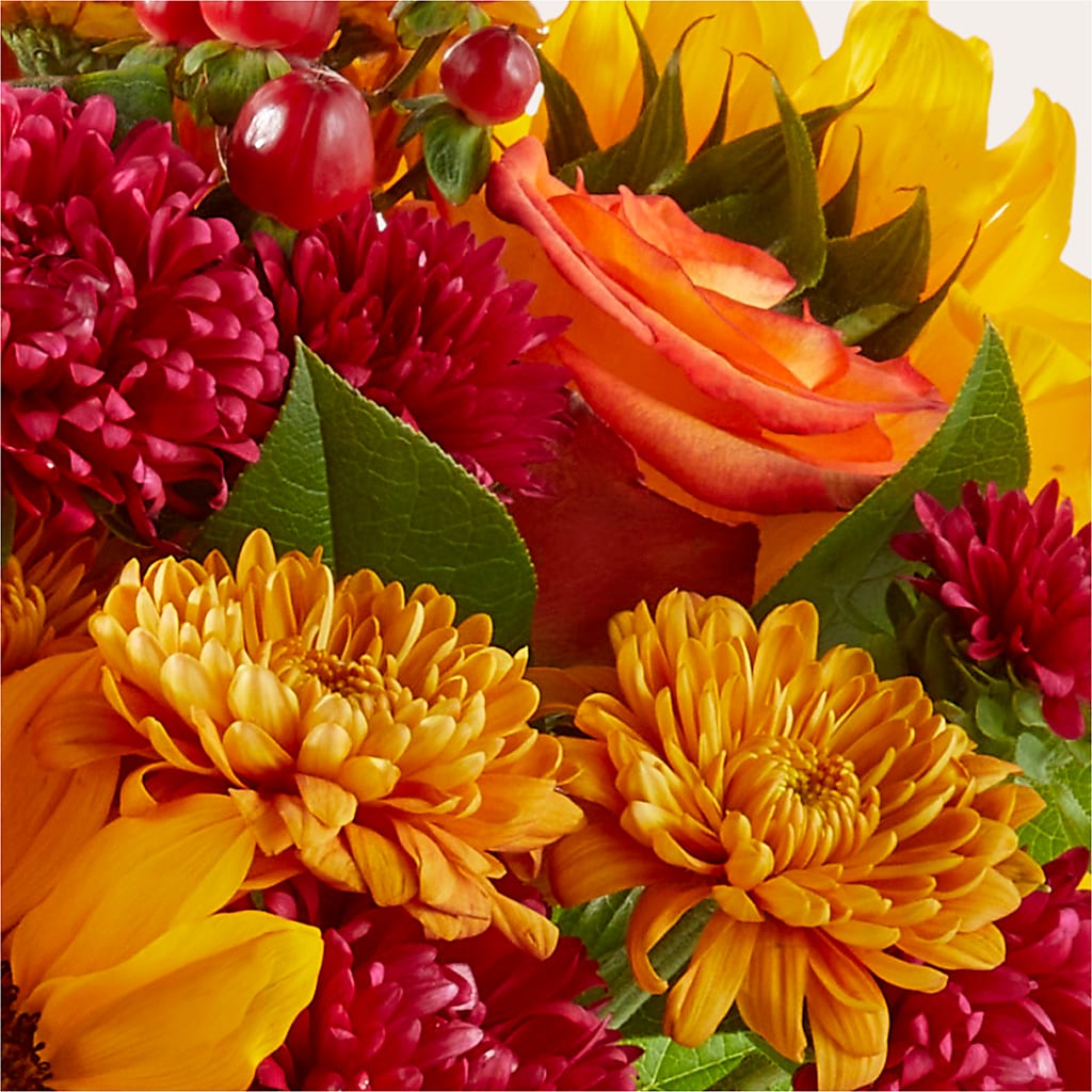 Sweater Season - A Florist Original – QUASTHOFF'S FLOWERS, River Grove IL