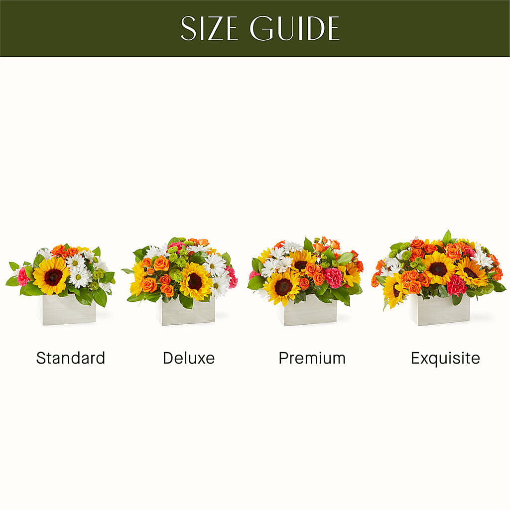 Sun-drenched Blooms Box Bouquet – QUASTHOFF'S FLOWERS, River Grove IL