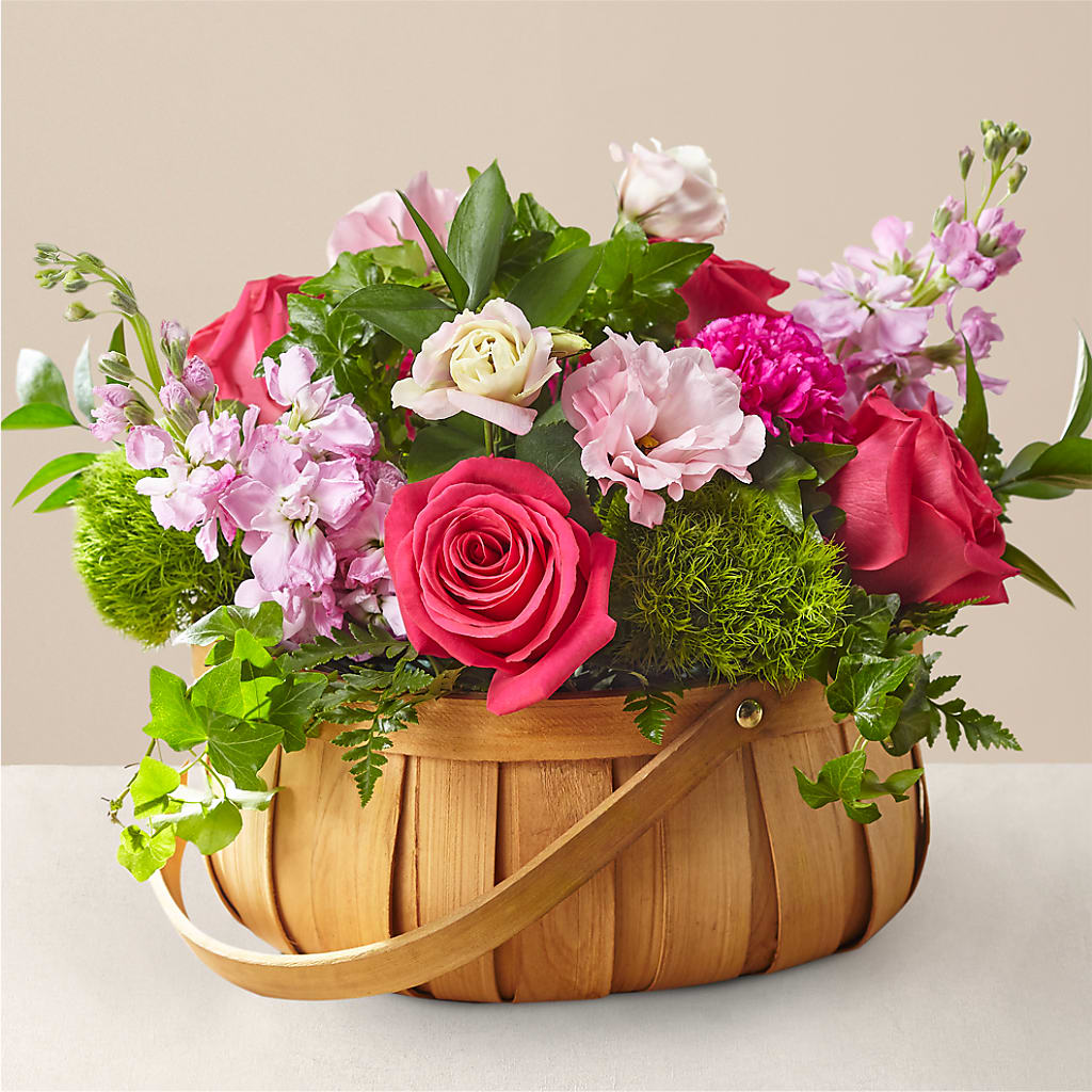 Radiance in Bloom Basket – QUASTHOFF'S FLOWERS, River Grove IL