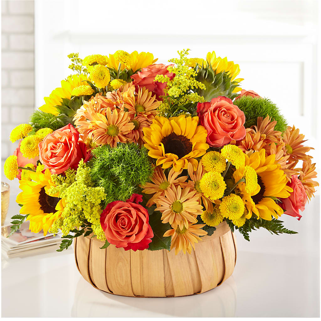 Harvest Sunflower Basket – QUASTHOFF'S FLOWERS, River Grove IL