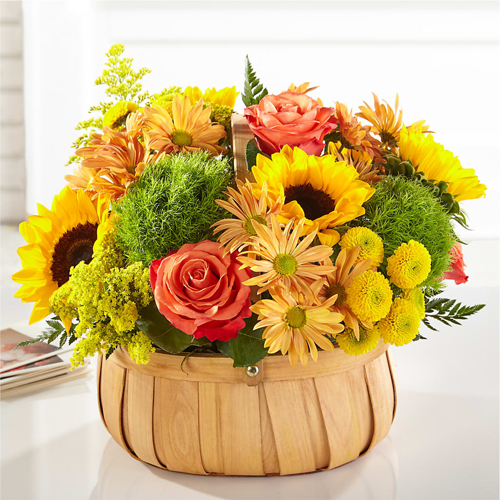 Harvest Sunflower Basket – QUASTHOFF'S FLOWERS, River Grove IL