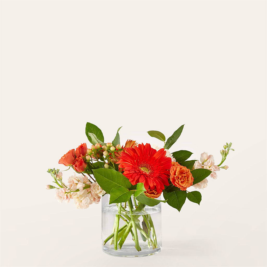Paloma Please Bouquet – QUASTHOFF'S FLOWERS, River Grove IL