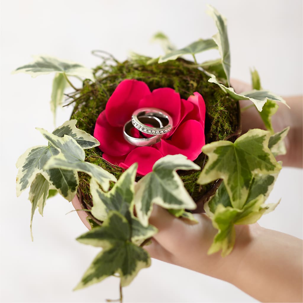 Lila Rose Ring Nest – QUASTHOFF'S FLOWERS, River Grove IL