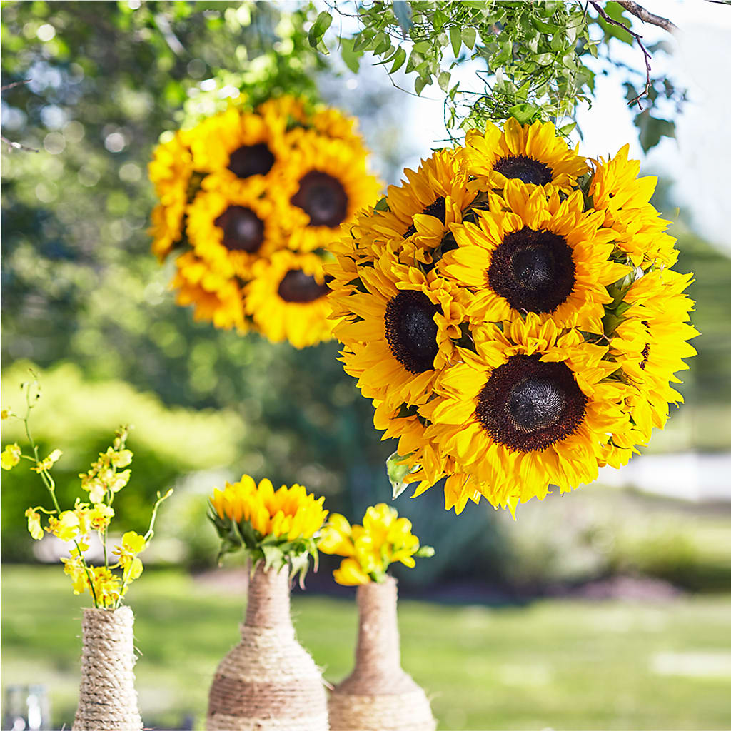 Sublime Garden Hanging Arrangement – QUASTHOFF'S FLOWERS, River Grove IL
