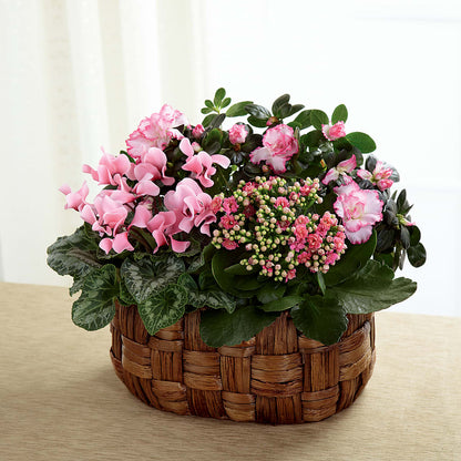 Pink Assortment – QUASTHOFF'S FLOWERS, River Grove IL