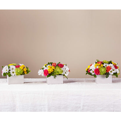 Sorbet Bouquet – QUASTHOFF'S FLOWERS, River Grove IL