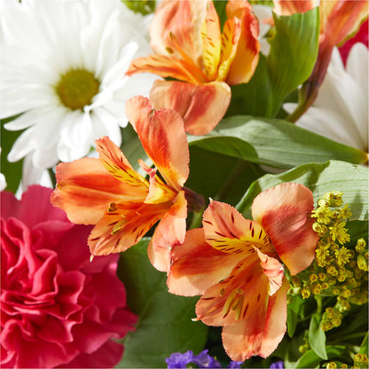 Oopsie Daisy Box Bouquet – QUASTHOFF'S FLOWERS, River Grove IL
