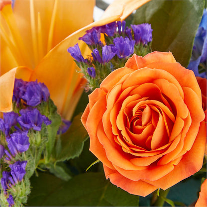 Radiant Citrus Box Bouquet – QUASTHOFF'S FLOWERS, River Grove IL