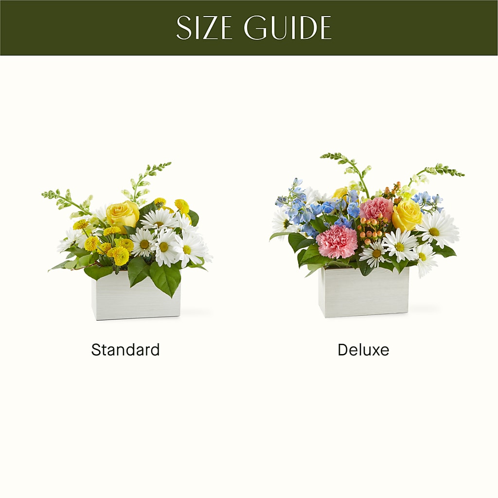 Sun Salutation Box Bouquet – QUASTHOFF'S FLOWERS, River Grove IL
