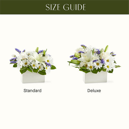 Beyond Blue Box Bouquet – QUASTHOFF'S FLOWERS, River Grove IL