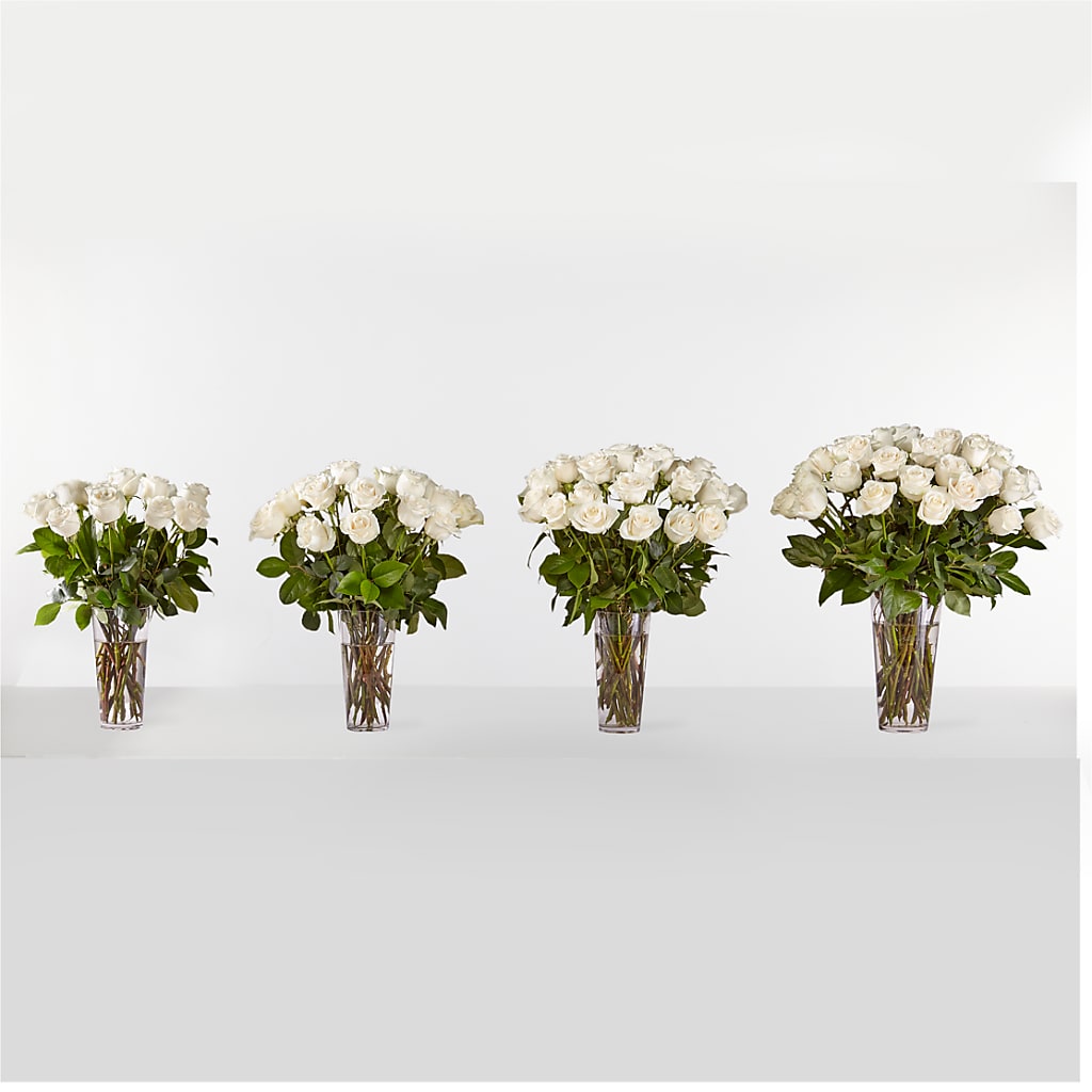 Long Stem White Rose Bouquet – QUASTHOFF'S FLOWERS, River Grove IL
