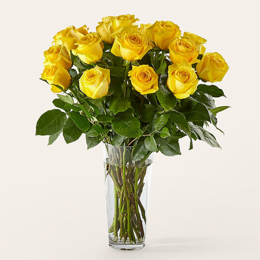 Long Stem Yellow Rose Bouquet – QUASTHOFF'S FLOWERS, River Grove IL