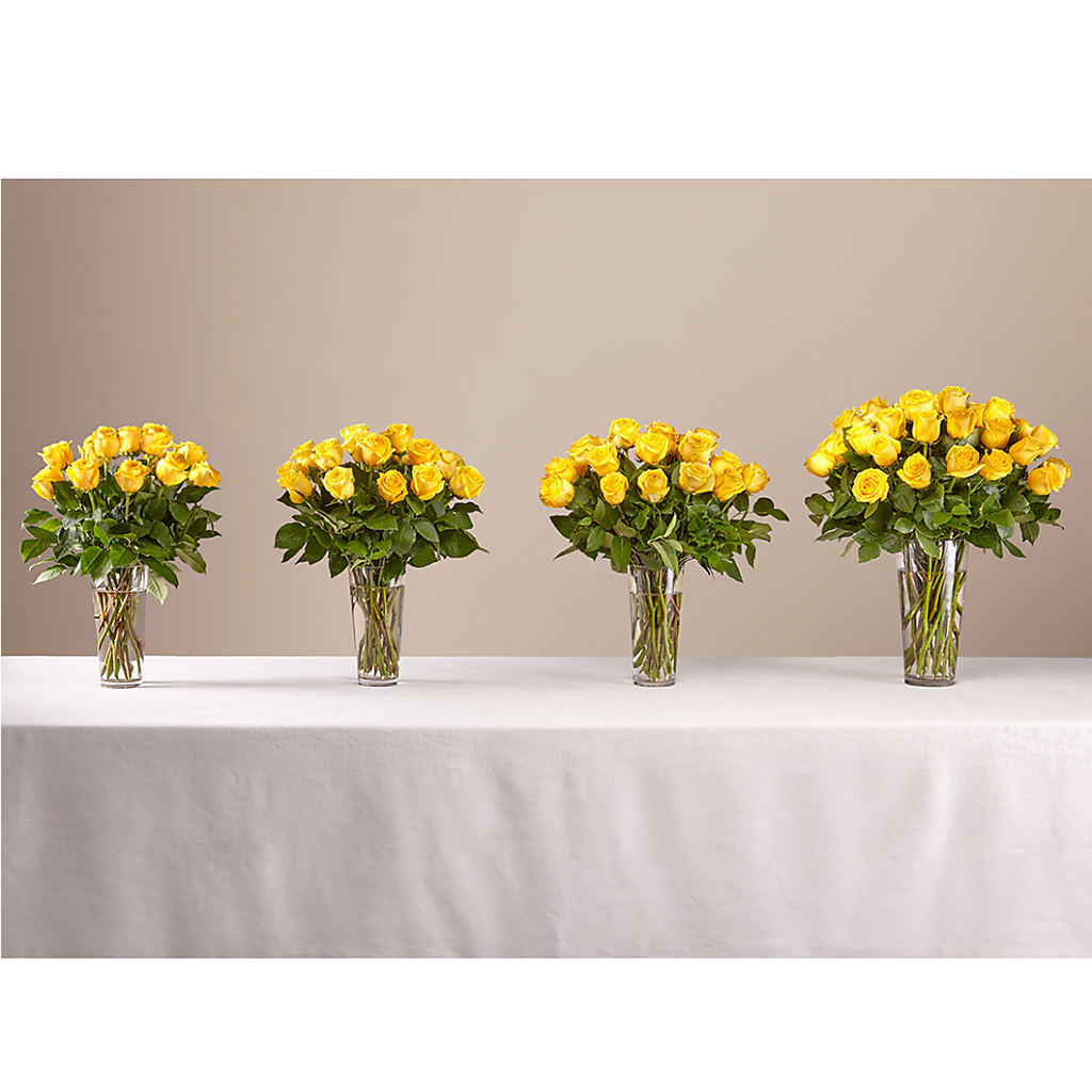 Long Stem Yellow Rose Bouquet – QUASTHOFF'S FLOWERS, River Grove IL