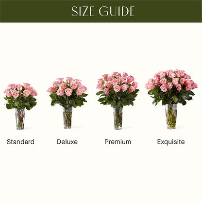 Long Stem Pink Rose Bouquet – QUASTHOFF'S FLOWERS, River Grove IL