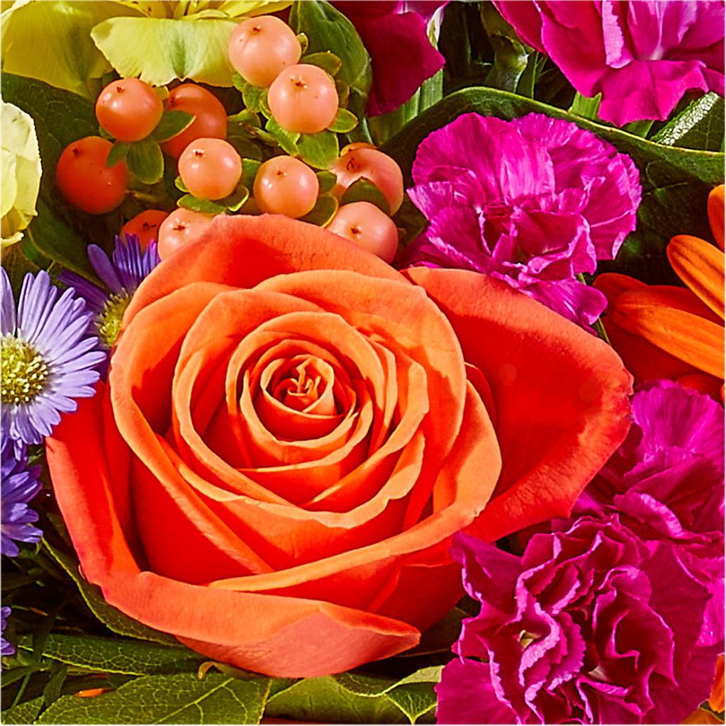 Tricks & Treats Pumpkin – QUASTHOFF'S FLOWERS, River Grove IL