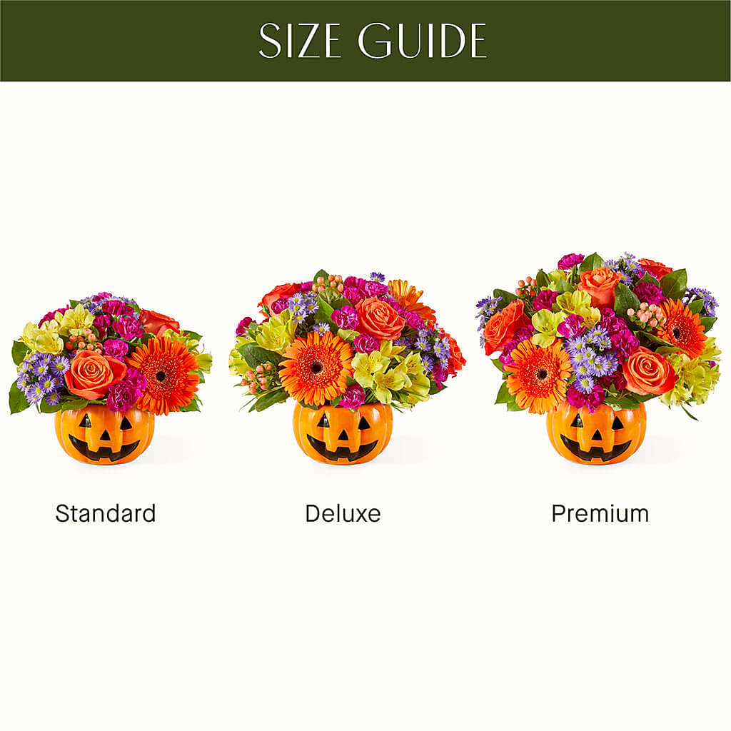 Tricks & Treats Pumpkin – QUASTHOFF'S FLOWERS, River Grove IL
