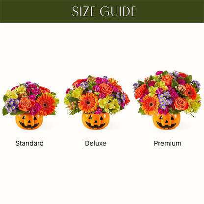 Tricks & Treats Pumpkin – QUASTHOFF'S FLOWERS, River Grove IL
