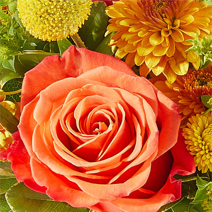 Gourdgeous Pumpkin – QUASTHOFF'S FLOWERS, River Grove IL