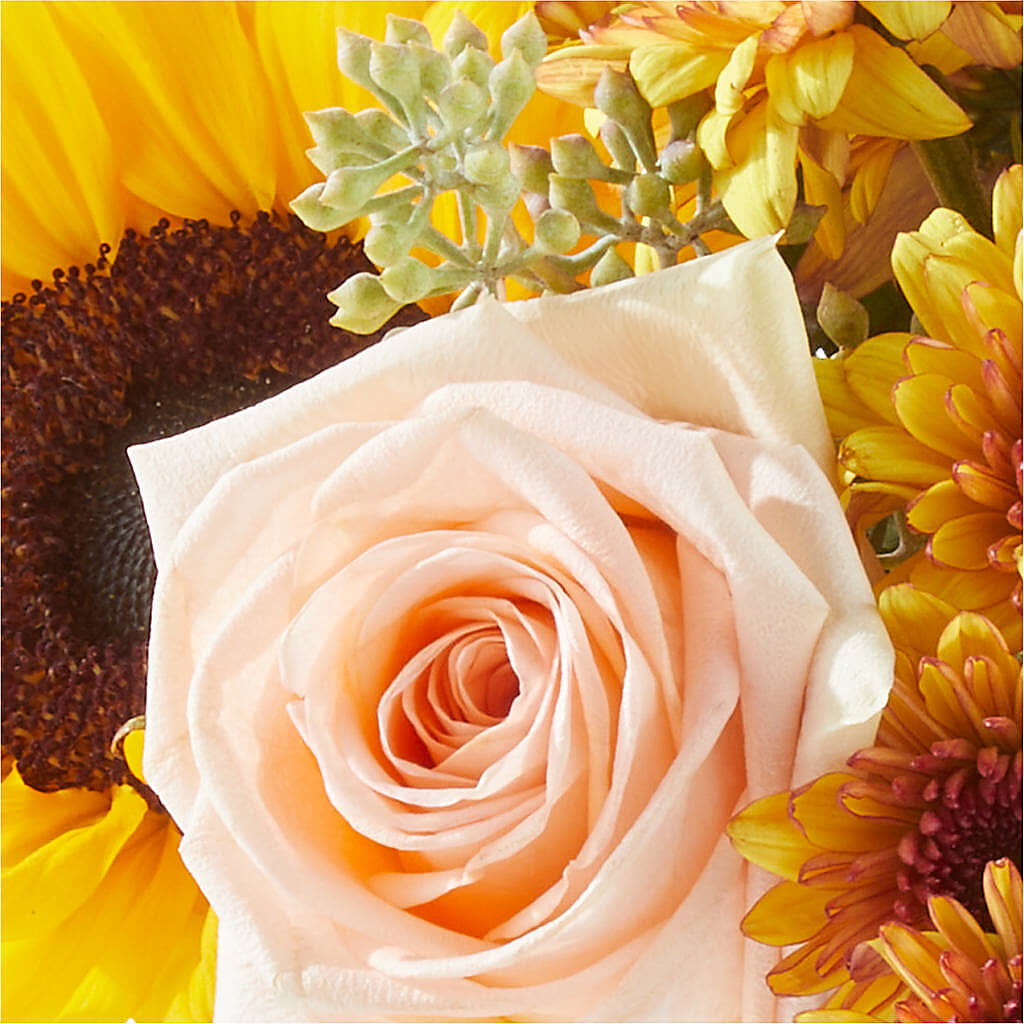 Pumpkin to Talk About Bouquet – QUASTHOFF'S FLOWERS, River Grove IL