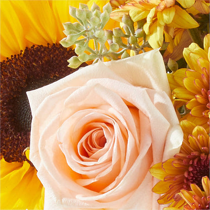 Pumpkin to Talk About Bouquet – QUASTHOFF'S FLOWERS, River Grove IL