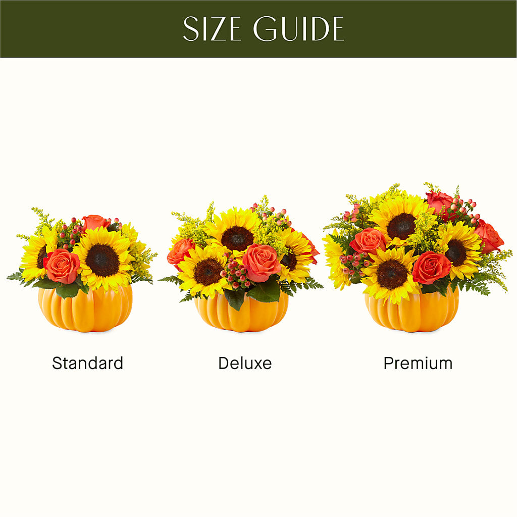 Pick of the Patch Pumpkin Bouquet – QUASTHOFF'S FLOWERS, River Grove IL