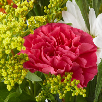 Oopsie Daisy Bouquet – QUASTHOFF'S FLOWERS, River Grove IL