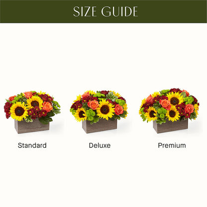 Happy Harvest Garden – QUASTHOFF'S FLOWERS, River Grove IL