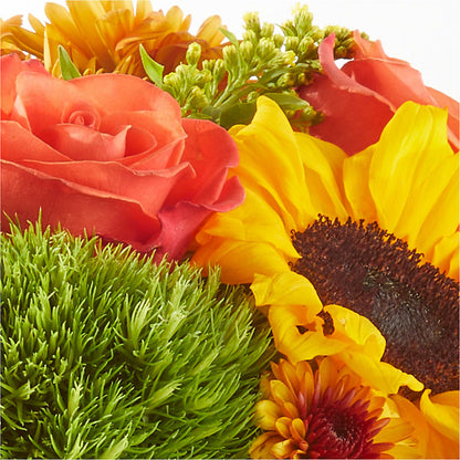 Farmer’s Market Stroll Bouquet – QUASTHOFF'S FLOWERS, River Grove IL