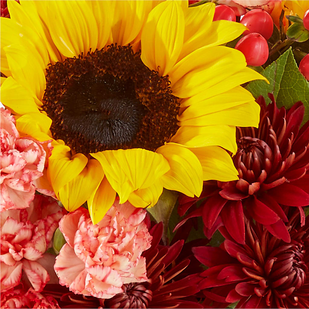 Fresh Cider Bouquet – QUASTHOFF'S FLOWERS, River Grove IL