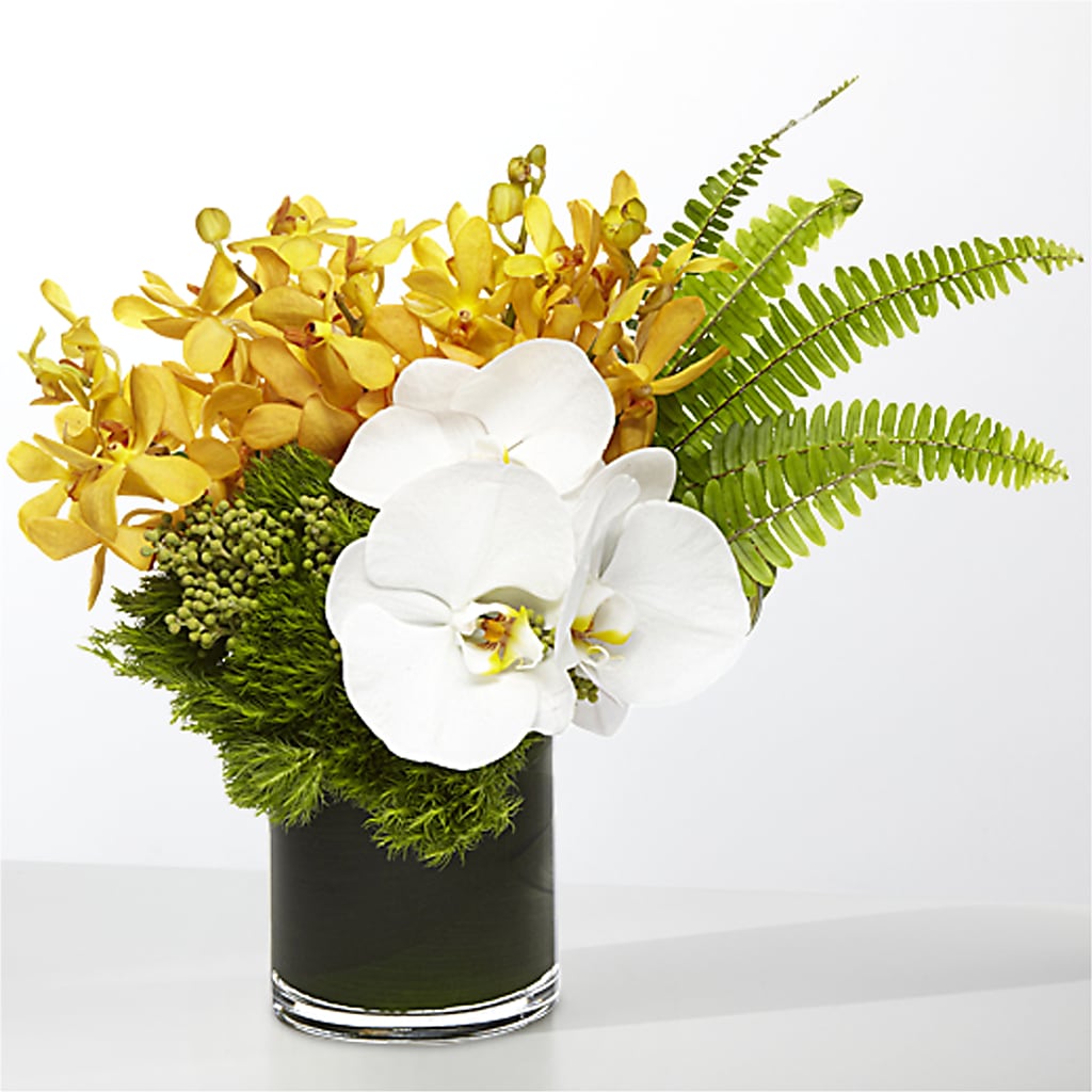 The Tropics – QUASTHOFF'S FLOWERS, River Grove IL