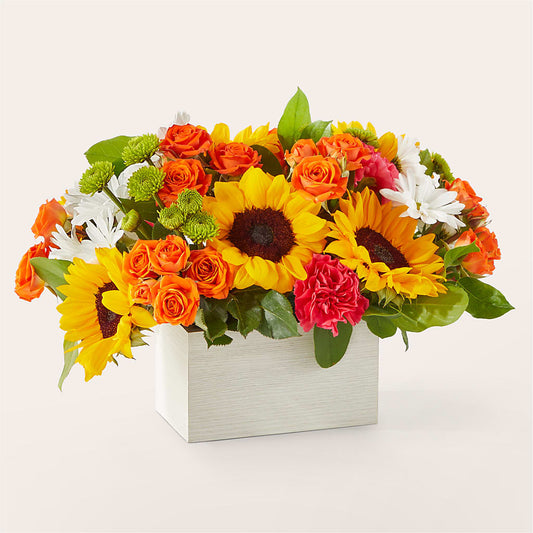 Sun-drenched Blooms Box Bouquet – QUASTHOFF'S FLOWERS, River Grove IL