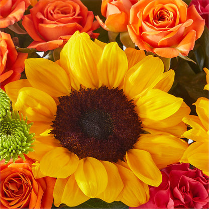 Sun-drenched Blooms Box Bouquet – QUASTHOFF'S FLOWERS, River Grove IL
