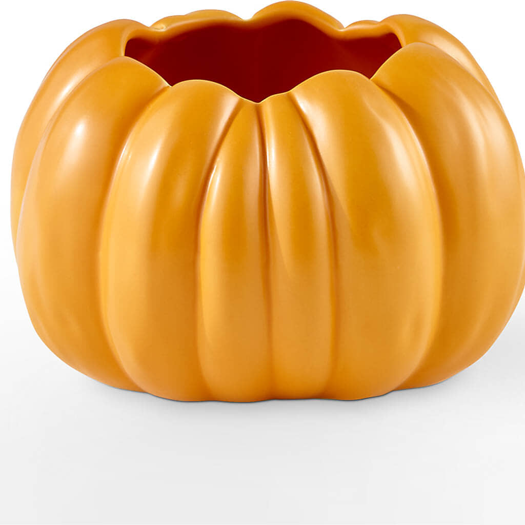 Pick of the Patch Pumpkin Bouquet – QUASTHOFF'S FLOWERS, River Grove IL